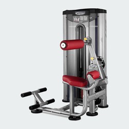 BH Ab/ Lower Back (Commercial)